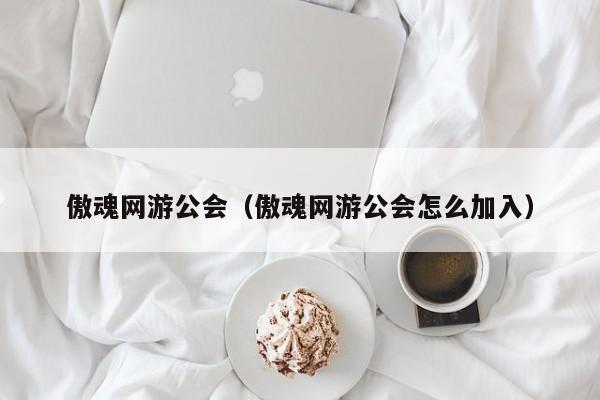 傲魂网游公会（傲魂网游公会怎么加入）