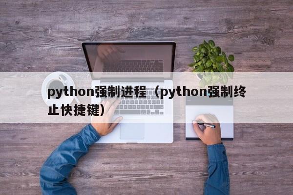 python强制进程（python强制终止快捷键）