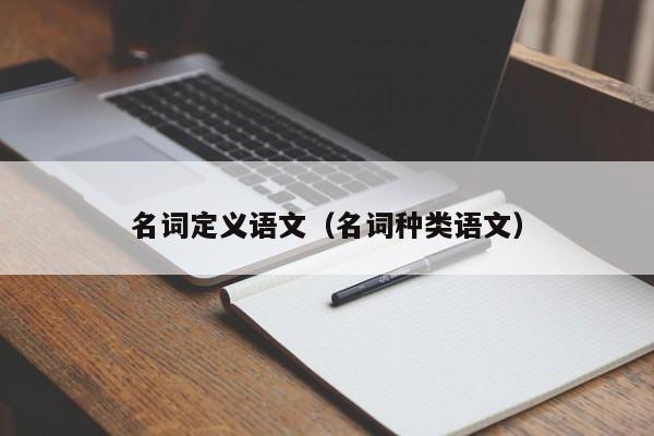 名词定义语文（名词种类语文）