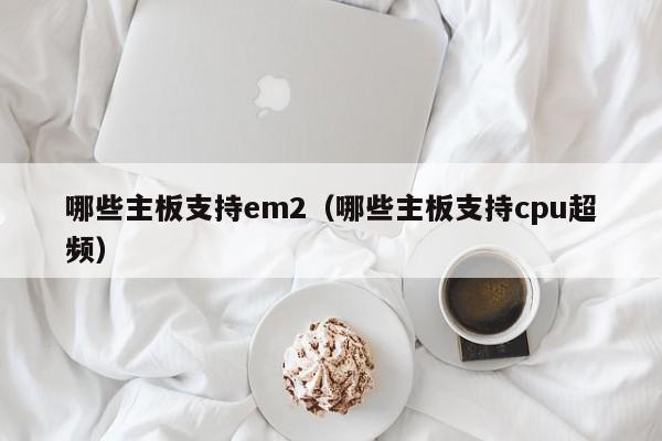 哪些主板支持em2（哪些主板支持cpu超频）