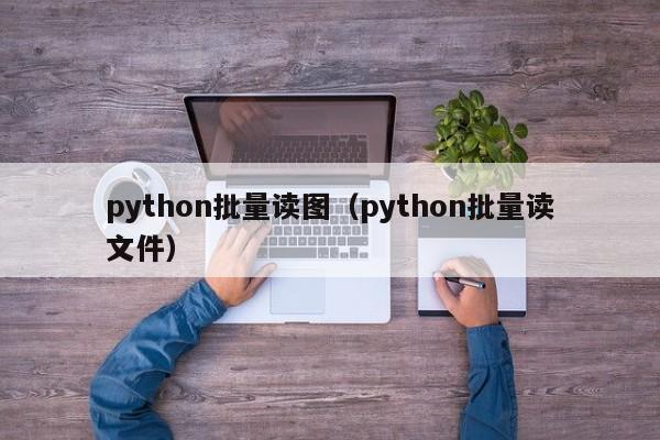 python批量读图（python批量读文件）