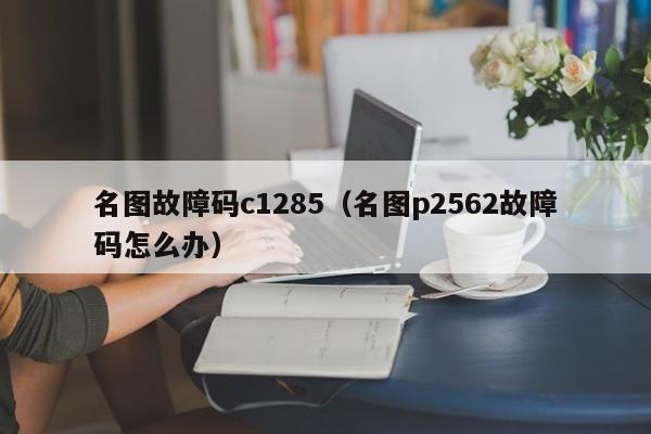 名图故障码c1285（名图p2562故障码怎么办）