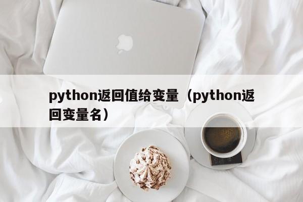 python返回值给变量（python返回变量名）