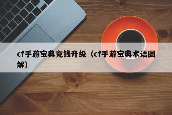 cf手游宝典充钱升级（cf手游宝典术语图解）