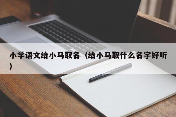 小学语文给小马取名（给小马取什么名字好听）