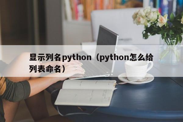 显示列名python(python怎么给列表命名)