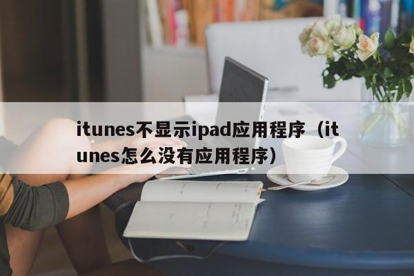 itunes不显示ipad应用程序(itunes怎么没有应用程序)
