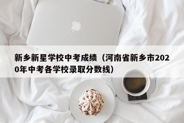 新乡新星学校中考成绩（河南省新乡市2020年中考各学校录取分数线）