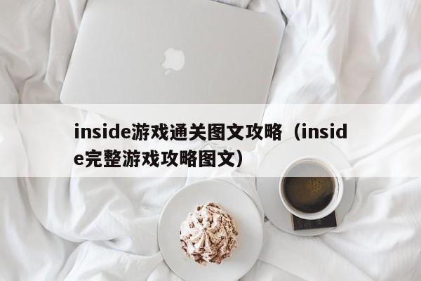 inside游戏通关图文攻略(inside完整游戏攻略图文)
