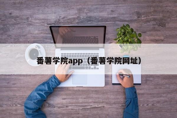 番薯学院app(番薯学院网址)