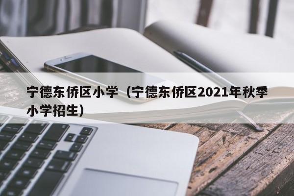 宁德东侨区小学（宁德东侨区2021年秋季小学招生）