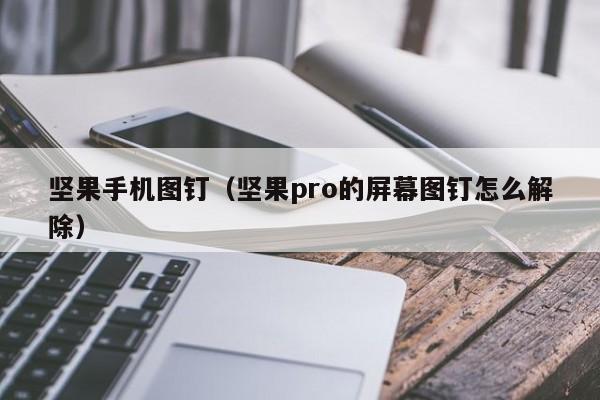 坚果手机图钉（坚果pro的屏幕图钉怎么解除）