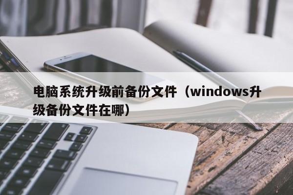 电脑系统升级前备份文件（windows升级备份文件在哪）