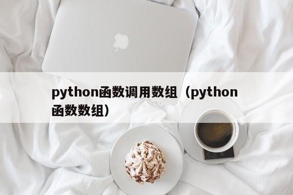 python函数调用数组（python 函数数组）
