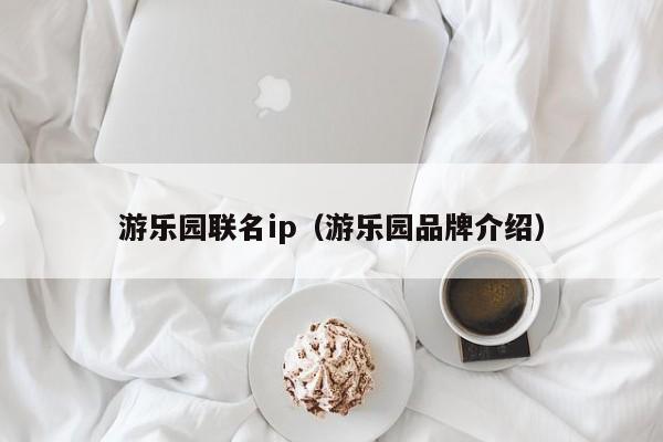 游乐园联名ip（游乐园品牌介绍）