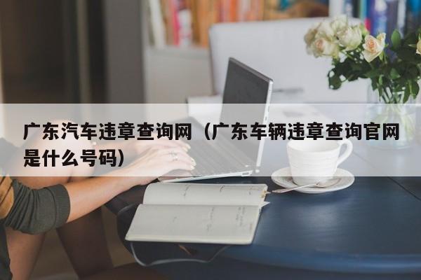 广东汽车违章查询网（广东车辆违章查询官网是什么号码）