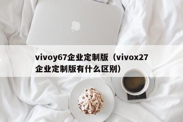 vivoy67企业定制版(vivox27企业定制版有什么区别)