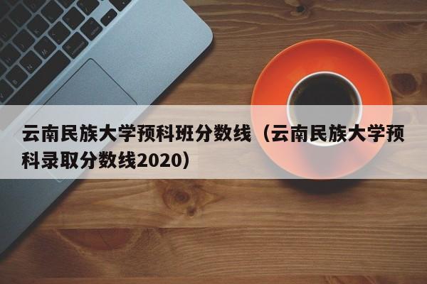 云南民族大学预科班分数线（云南民族大学预科录取分数线2020）